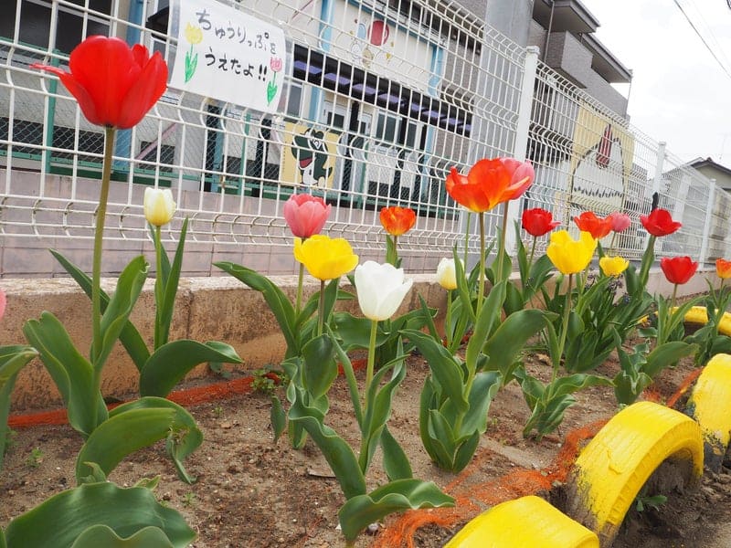 花壇の画像